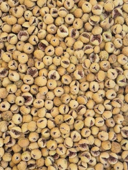 انجیر دهان باز  ( صدیک 101 ) سایز متوسط