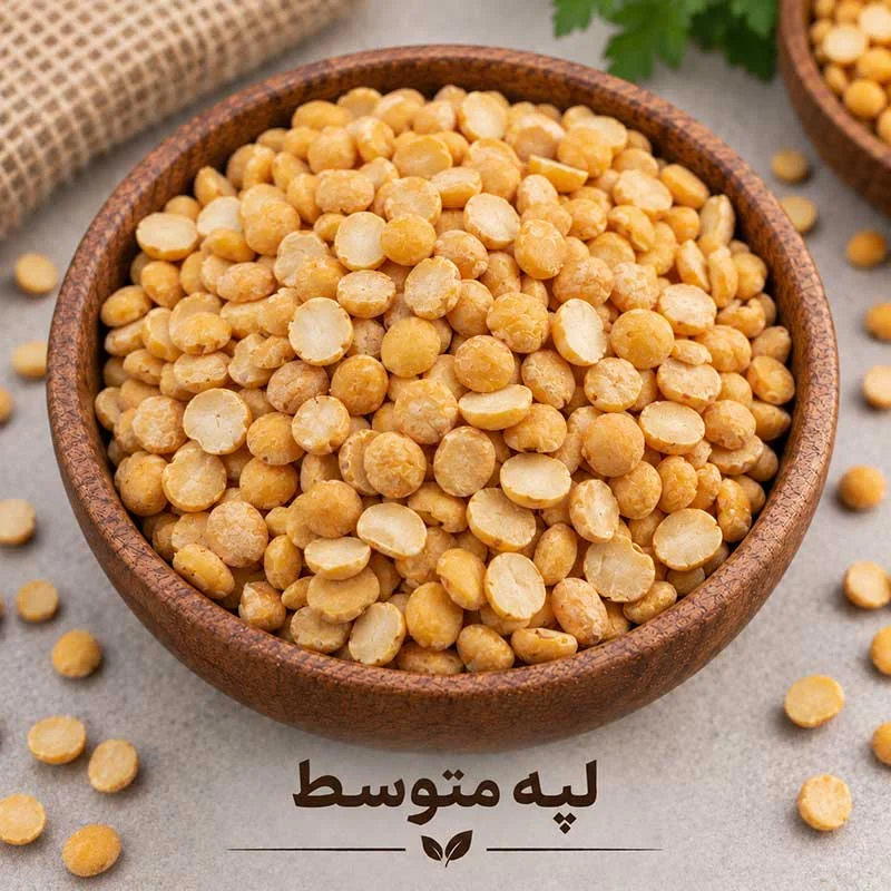 لپه متوسط لپه متوسط - تصویر 1