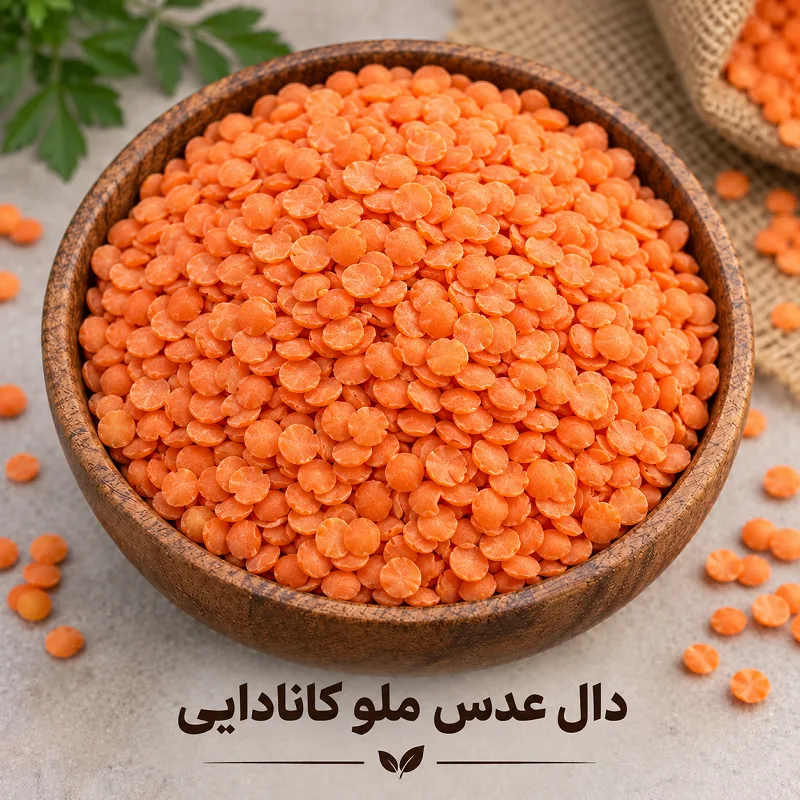 دال عدس کانادایی دال عدس ملو کانادایی - تصویر 1