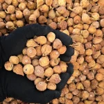 انجیر خشک دهان بسته رنگ معمولی سایز 2A