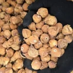 انجیر خشک دهان بسته رنگ معمولی سایز 3A