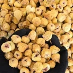 انجیر خشک غنچه و صدیک 3 A متوسط