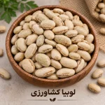لوبیا کشاورزی